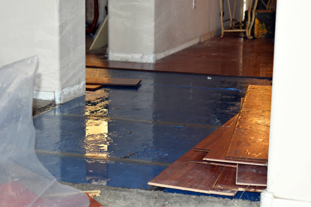 Professional Burst Pipe Cleanup technician working in Peach Creek, WV