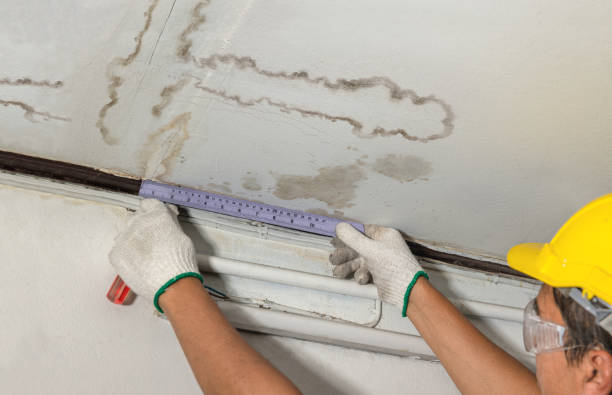 Reliable Burst Pipe Cleanup contractor in Peach Creek, WV by Water Damage Irwin